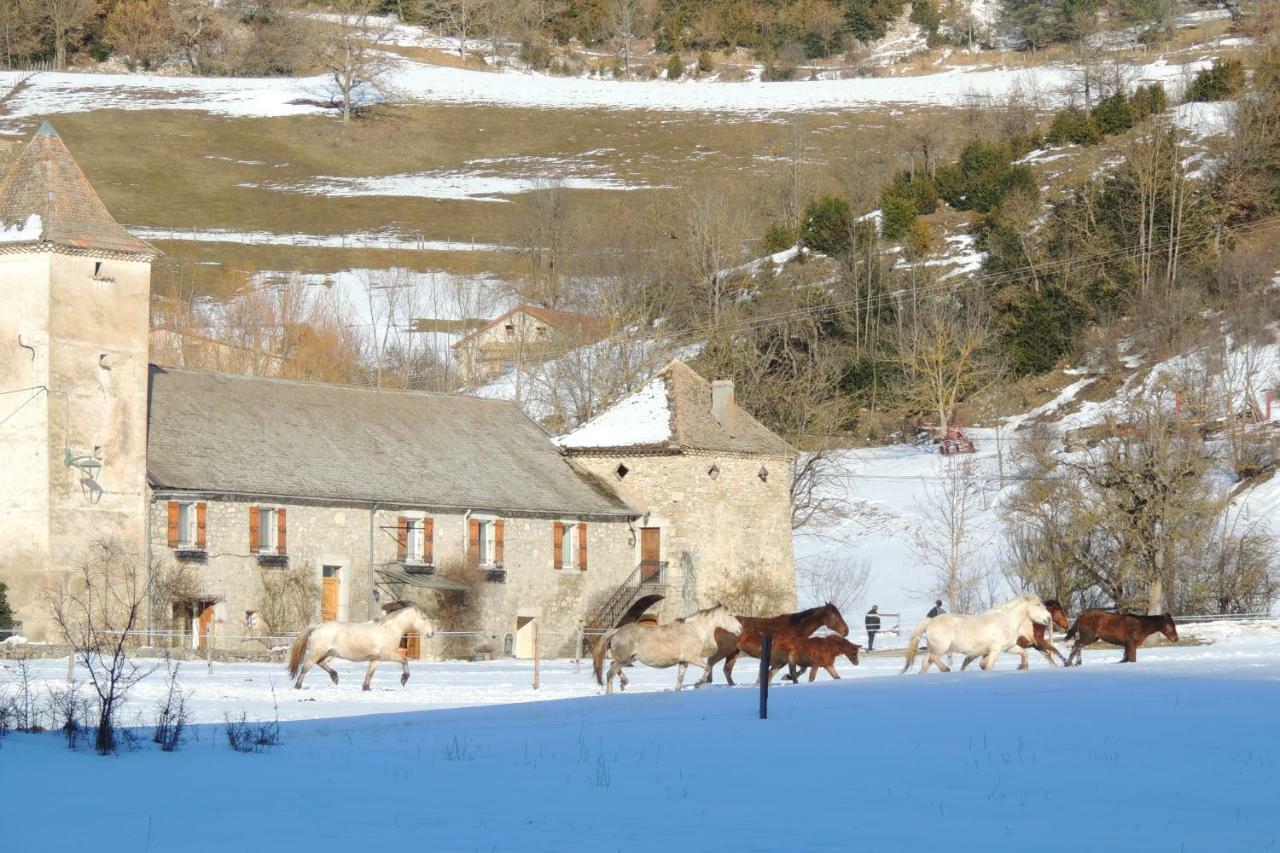 Bed and Breakfast Le Colombier Glandage Exterior foto
